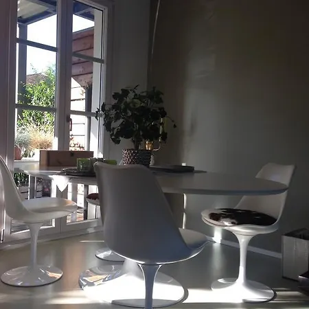 Natural Apartment