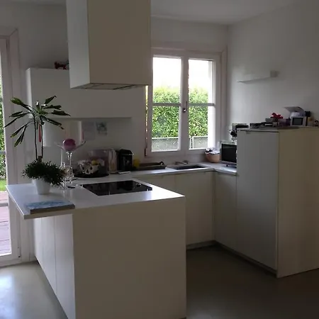 Natural Apartment